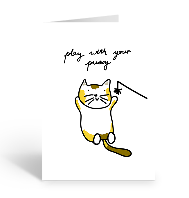 Play with your pussy cat greeting card